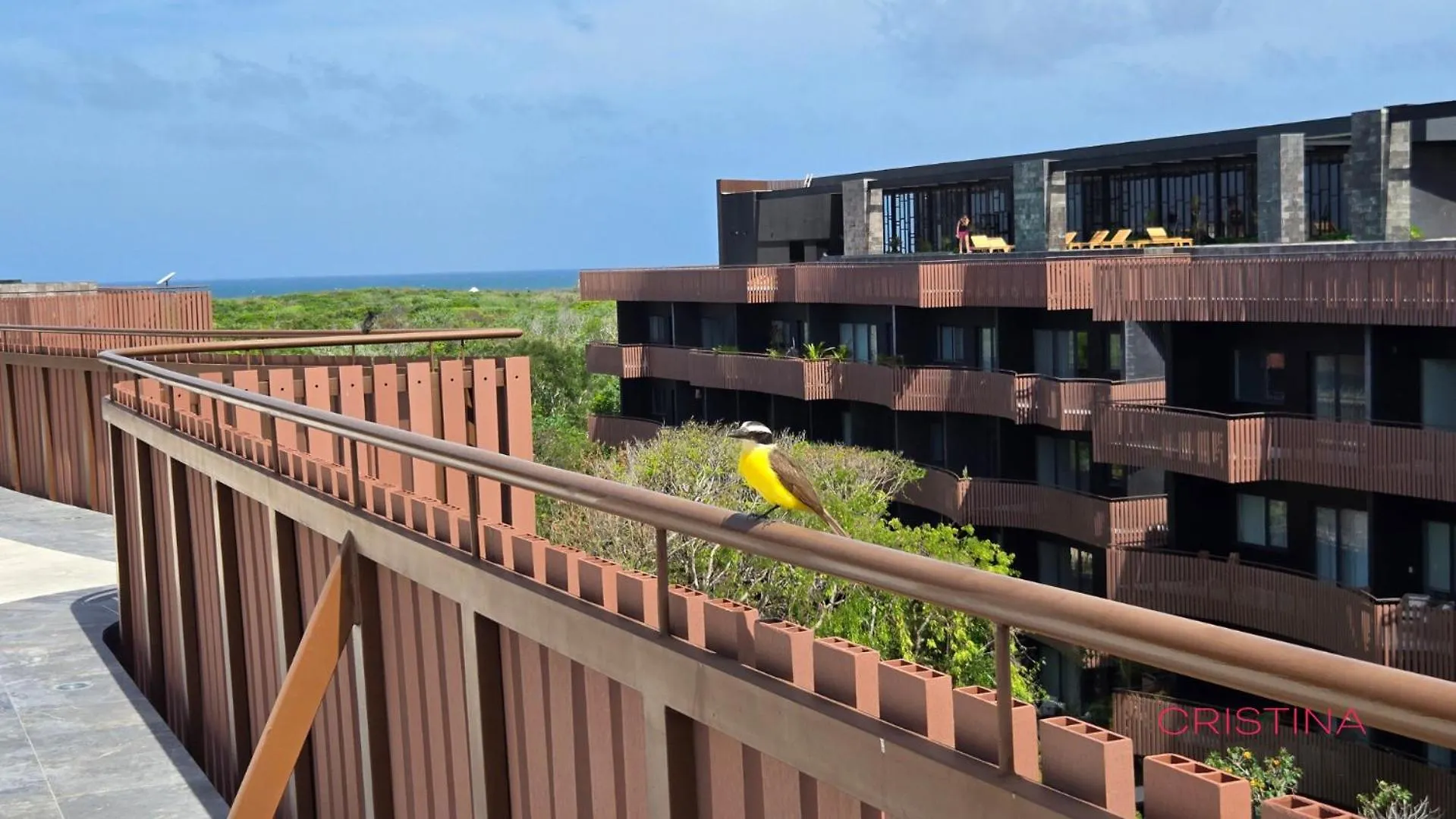 Apartment With Private Jacuzzi And Beach Club 툴룸
